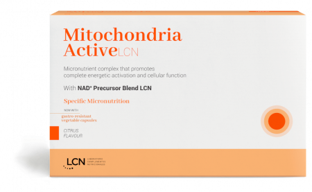 Mitochondria-product-landing-en-2024