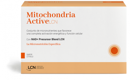 Mitochondria-product Mitochondria-product